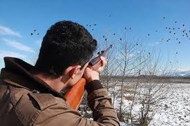 ممنوعیت شکار پرندگان در آذربایجان غربی