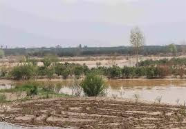 خسارت بیش از ۸۵۰ میلیارد تومانی به بخش کشاورزی استان